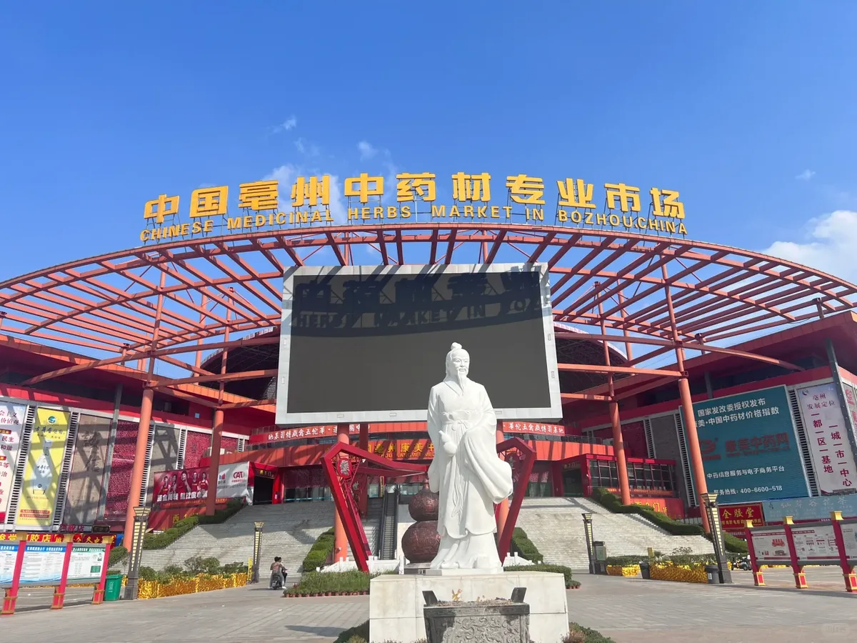 Chinese medicinal herbs market entrance in Bozhou, China