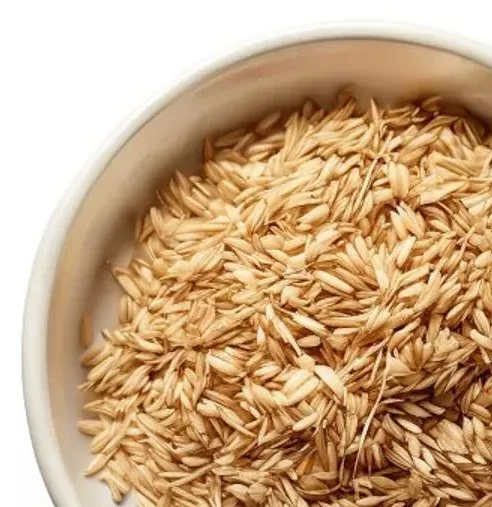 Barley Malt 麦芽 close detail crop showing sprouted grain texture for germination appearance moisture and foreign matter checking