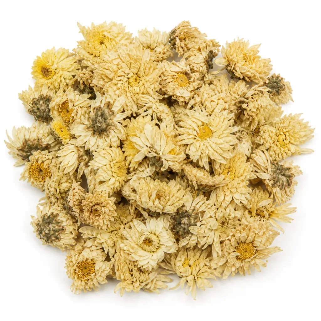 Chrysanthemum Flower 菊花 display presentation photo from Bozhou China