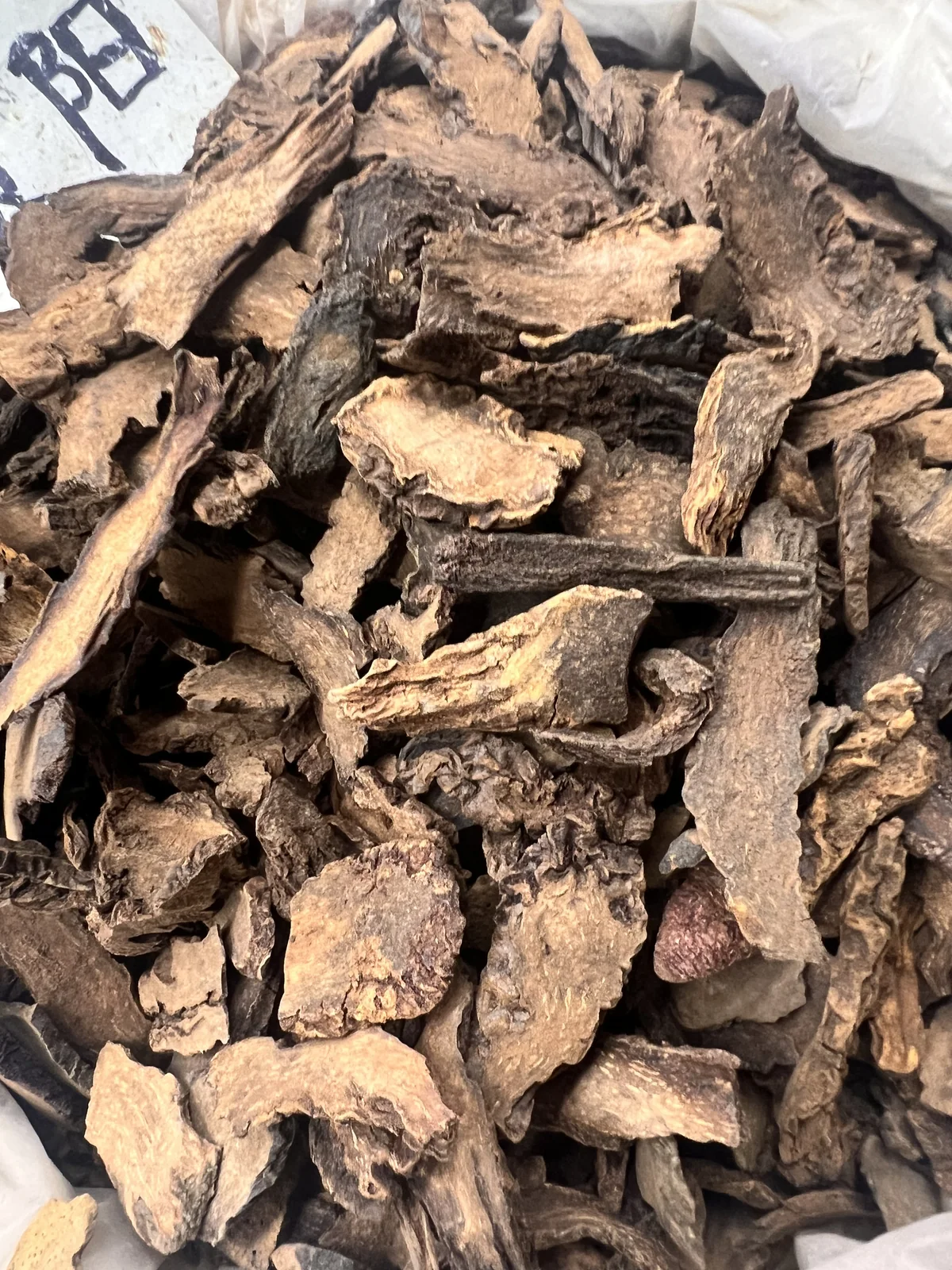 Cynomorium Stem 锁阳 bulk wholesale from Bozhou China