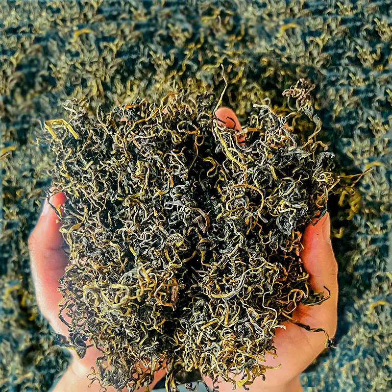 Dandelion 蒲公英 bulk wholesale from Bozhou China