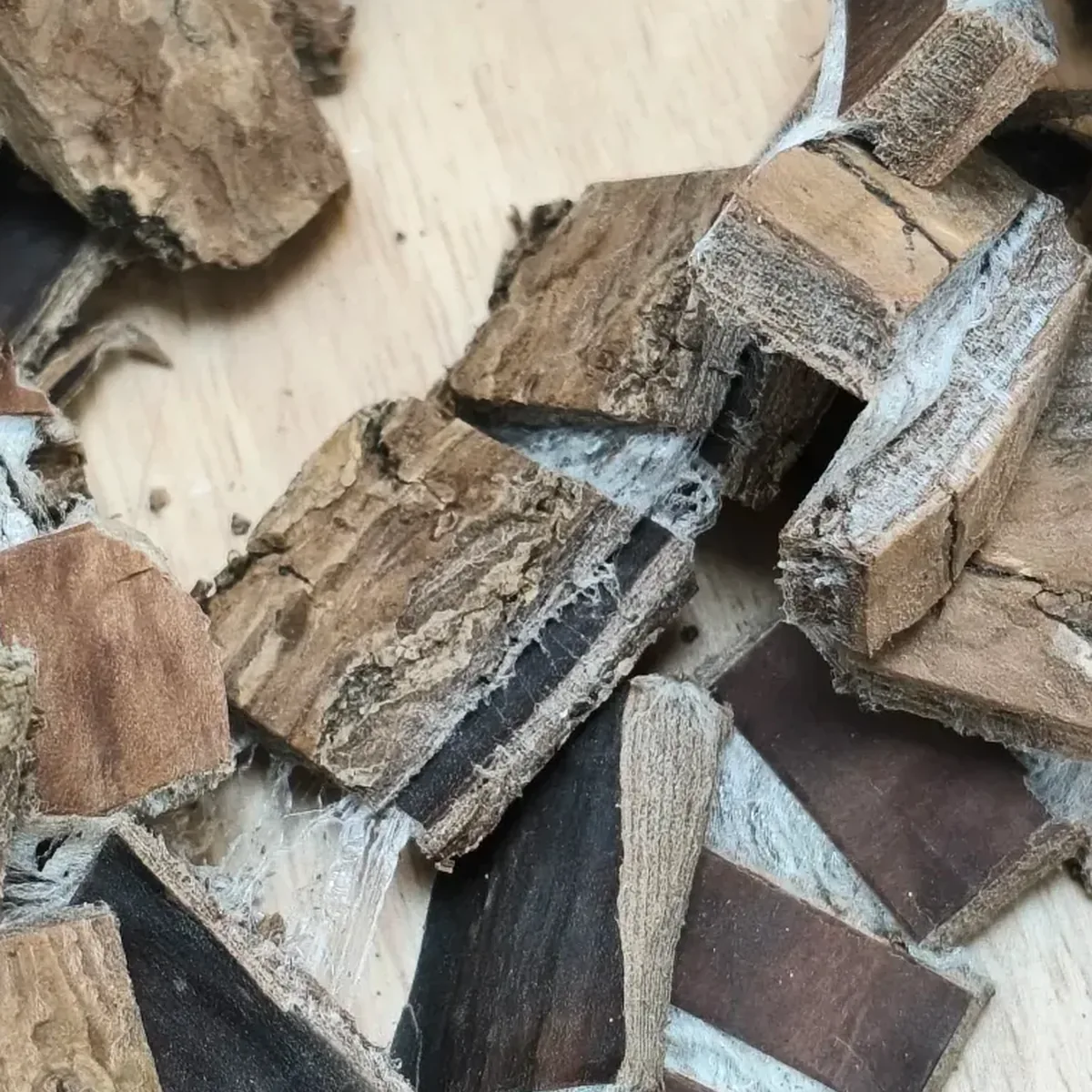 Eucommia Bark 杜仲 close detail texture photo showing bark layers and fibers for importer quality checking