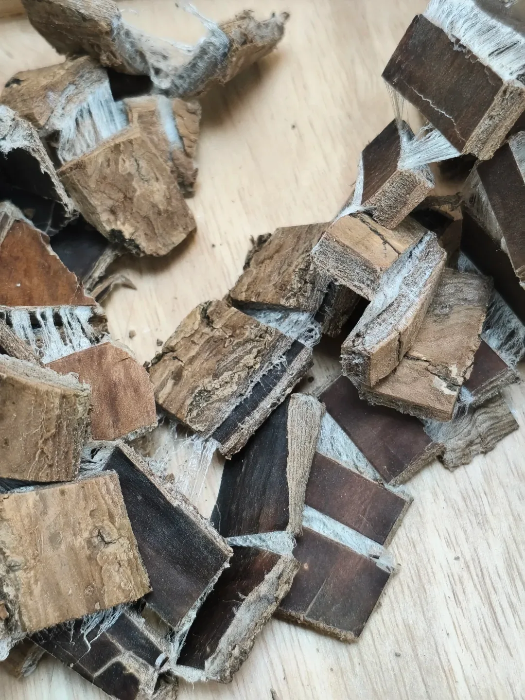 Eucommia Bark 杜仲 verified bark piece overview photo showing white latex-like fibers for bulk sourcing from Bozhou China