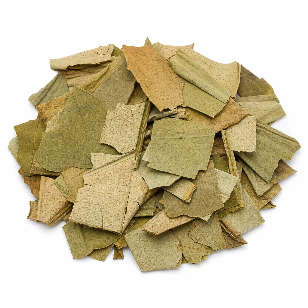 Lotus Leaf 荷叶 bulk wholesale from Bozhou China