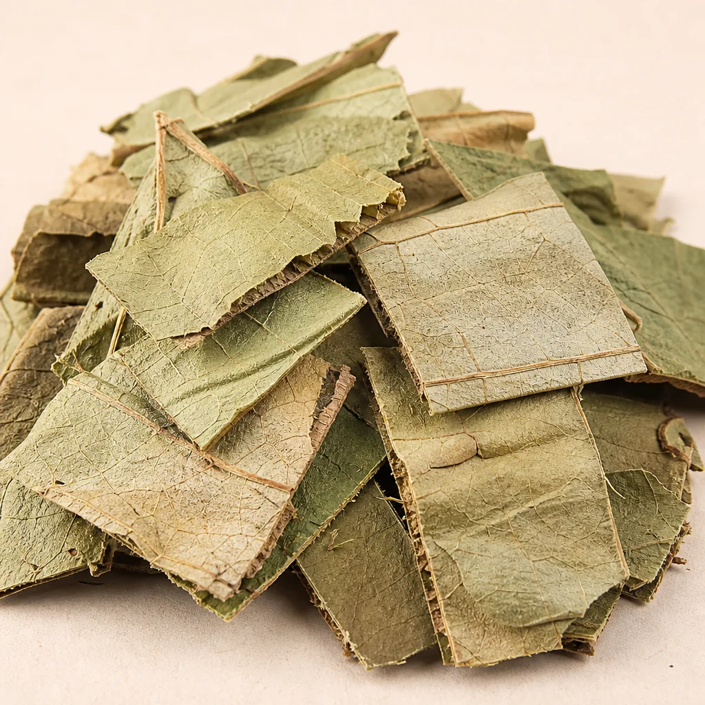 Lotus Leaf 荷叶 close detail texture photo from Bozhou China