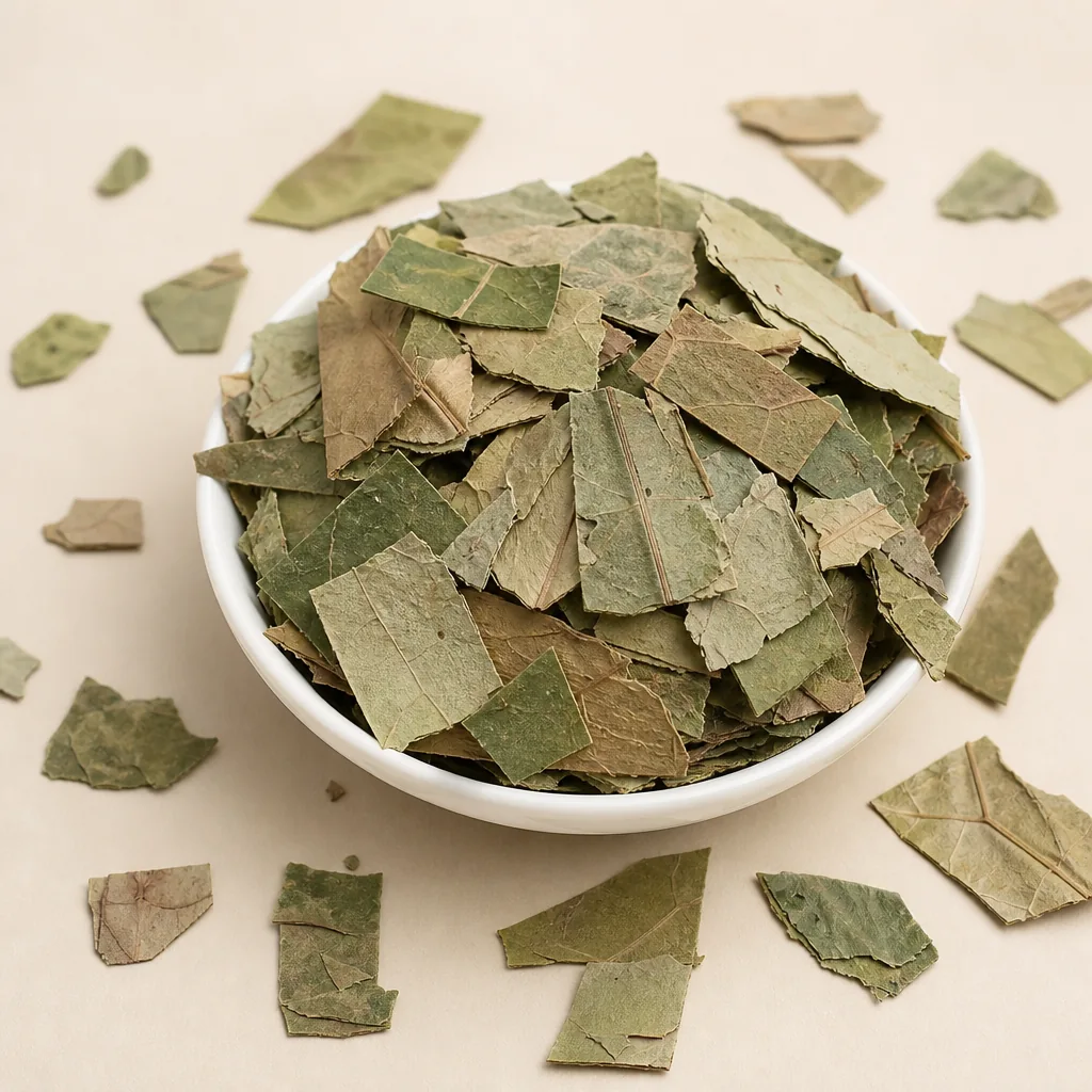 Lotus Leaf 荷叶 water infusion reference photo from Bozhou China