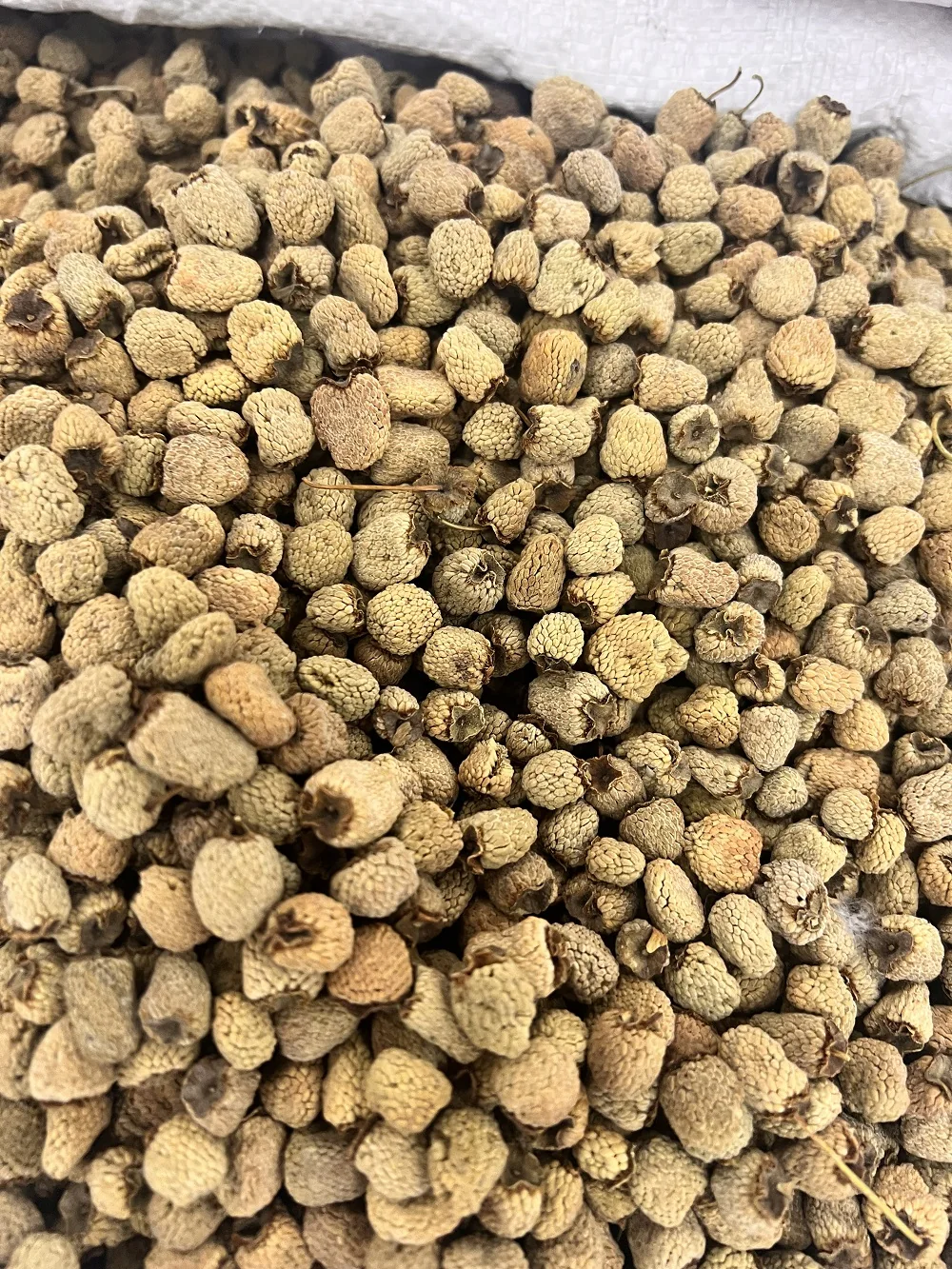 Raspberry Fruit 覆盆子 bulk wholesale from Bozhou China